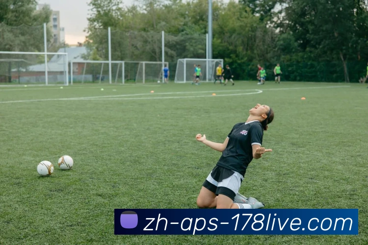 178体育直播品牌故事