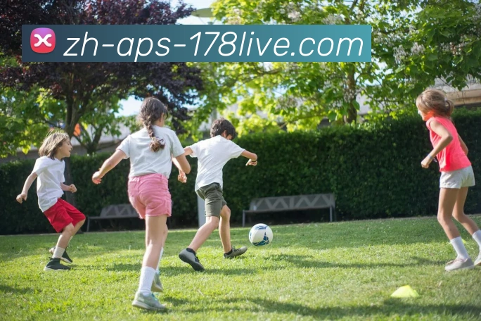 178体育直播服务体系